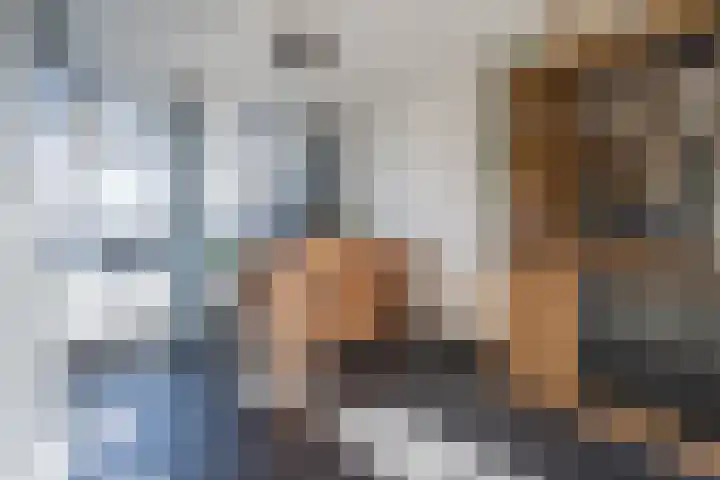 De Groos 1 Ell thumbnail 8