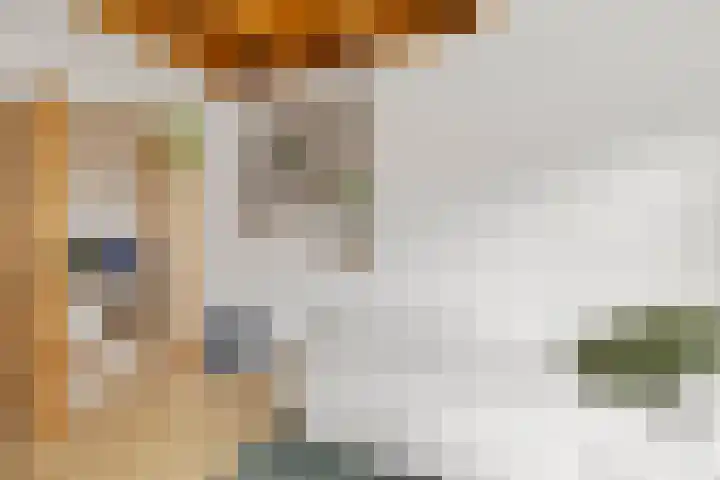 De Grote Haar 16 Muiderberg thumbnail 16