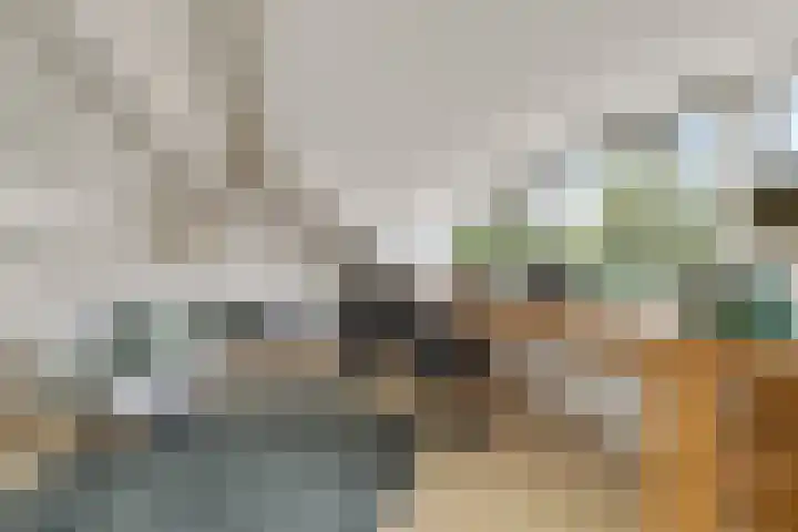 De Grote Haar 16 Muiderberg thumbnail 21