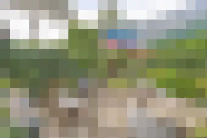 De Grote Haar 16 Muiderberg thumbnail 23