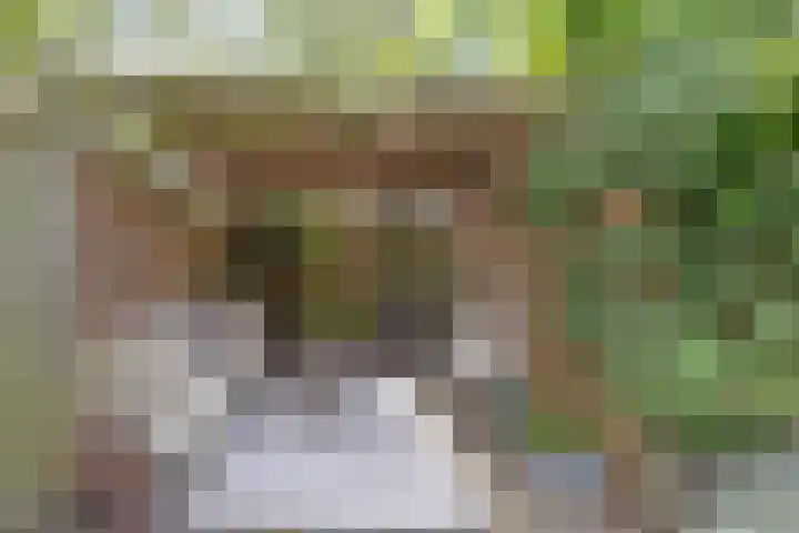 De Grote Haar 16 Muiderberg thumbnail 28