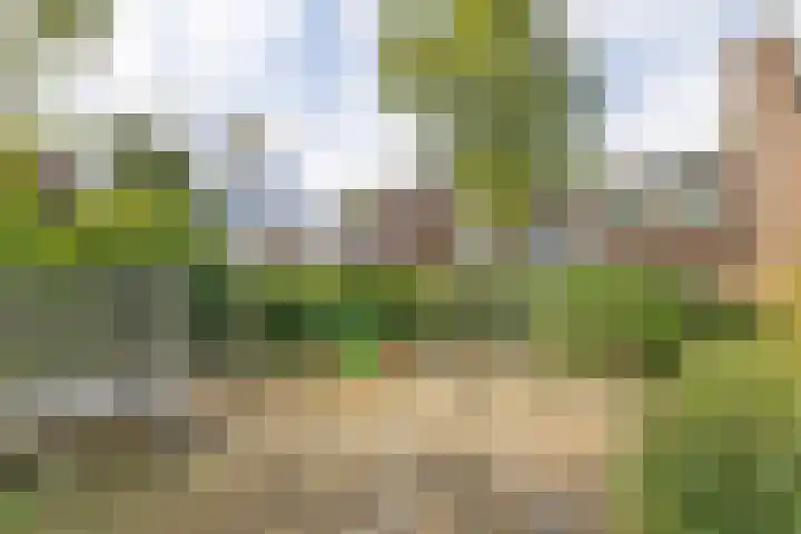 De Grote Haar 16 Muiderberg thumbnail 32