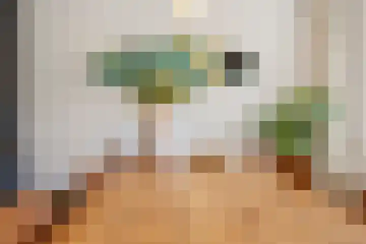De Grote Haar 16 Muiderberg thumbnail 5