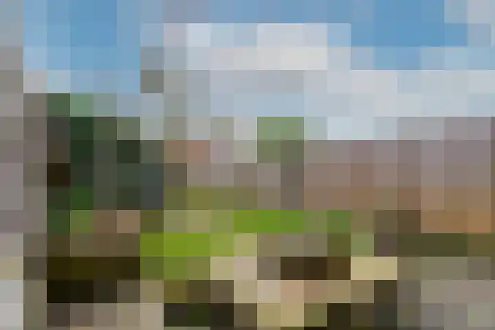 de Gruno 26 Hellevoetsluis thumbnail 17