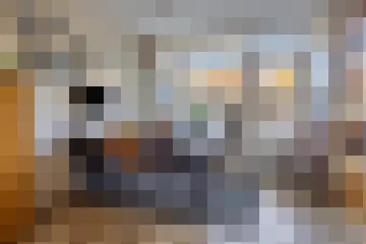 De Grutto 121 Dronten thumbnail 11