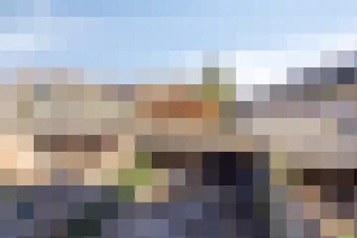 De Grutto 121 Dronten thumbnail 26