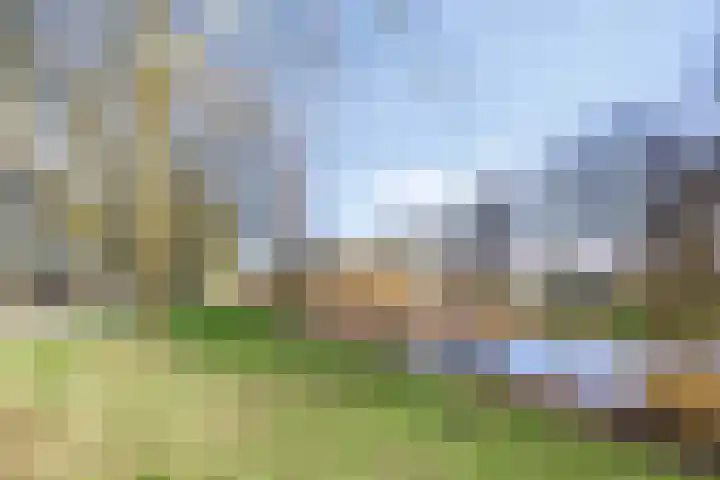 De Grutto 121 Dronten thumbnail 38