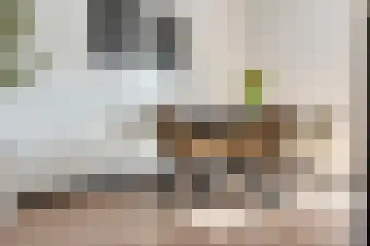 De Grutto 24 Almelo thumbnail 10