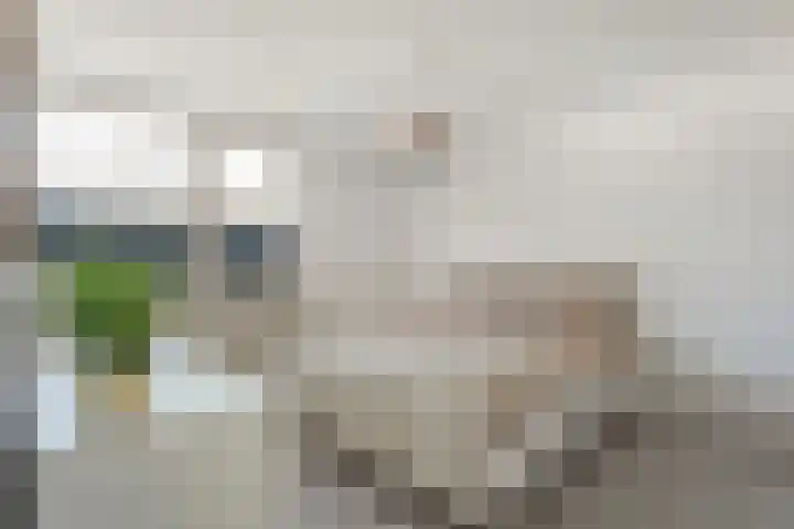 De Grutto 24 Almelo thumbnail 19