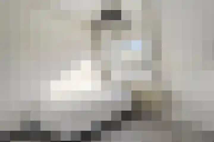 De Grutto 24 Almelo thumbnail 23