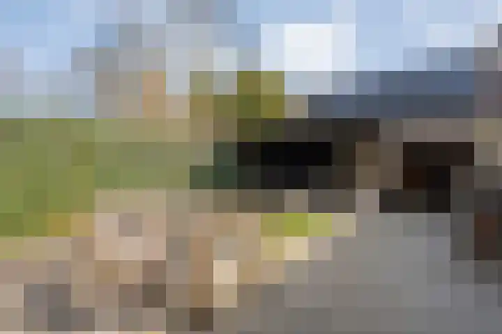 De Grutto 24 Almelo thumbnail 31