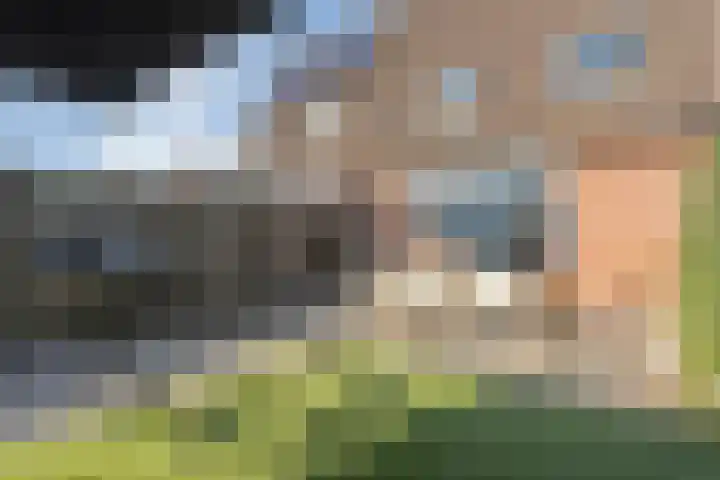 De Grutto 24 Almelo thumbnail 34