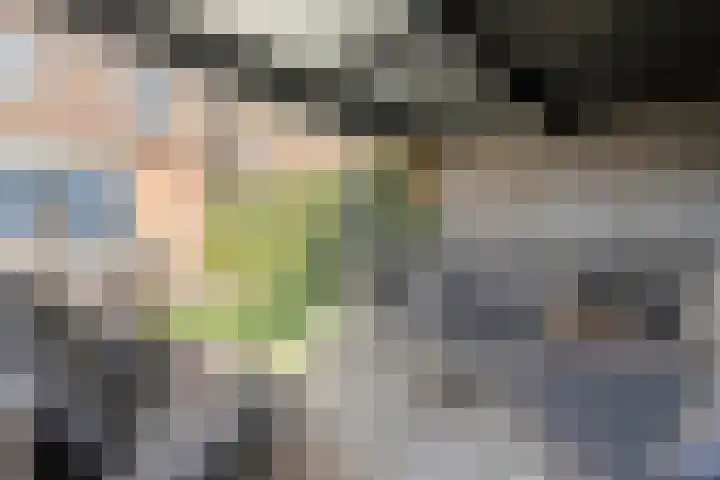 De Grutto 24 Almelo thumbnail 36