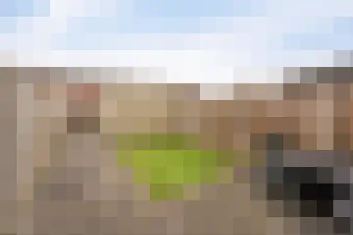 De Grutto 38 Dronten thumbnail 17