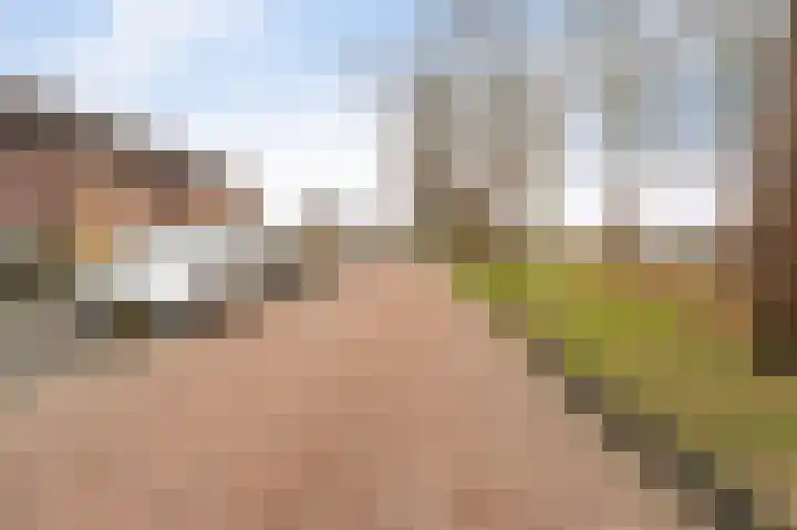 De Grutto 38 Dronten thumbnail 41