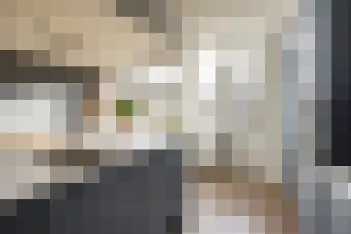 De Grutto 53 Dronten thumbnail 19