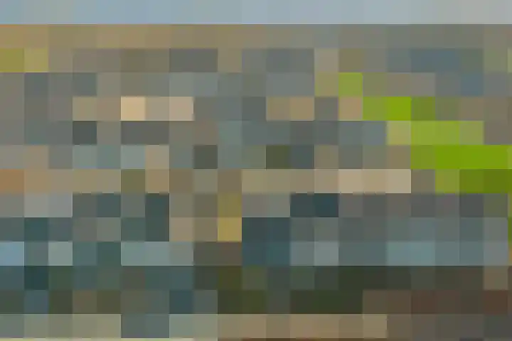 De Grutto 53 Dronten thumbnail 38