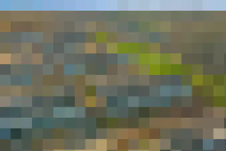 De Grutto 53 Dronten thumbnail 5