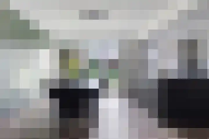 De Gyselaar 71 Amstenrade thumbnail 9