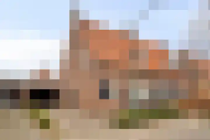 De Haag 67 Gemert