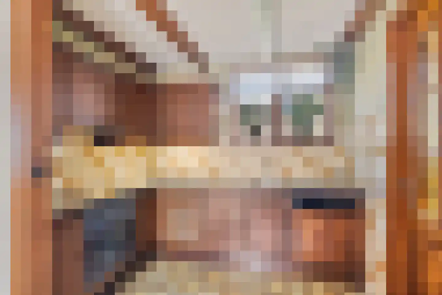 De Haal 90 Oostzaan thumbnail 12