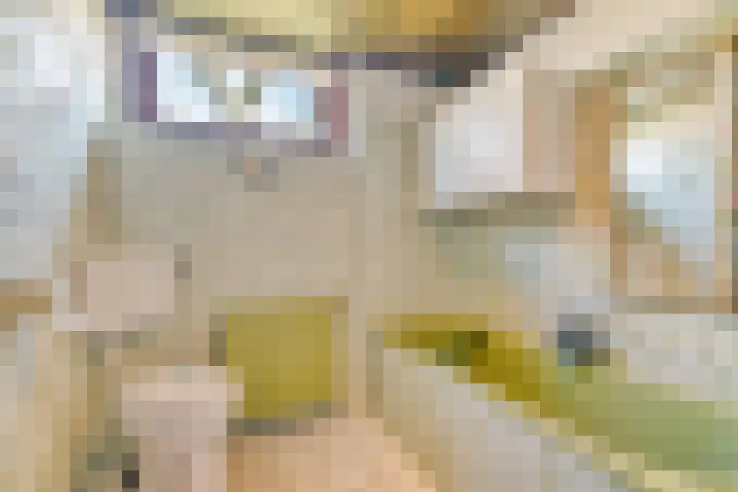 De Haal 90 Oostzaan thumbnail 16