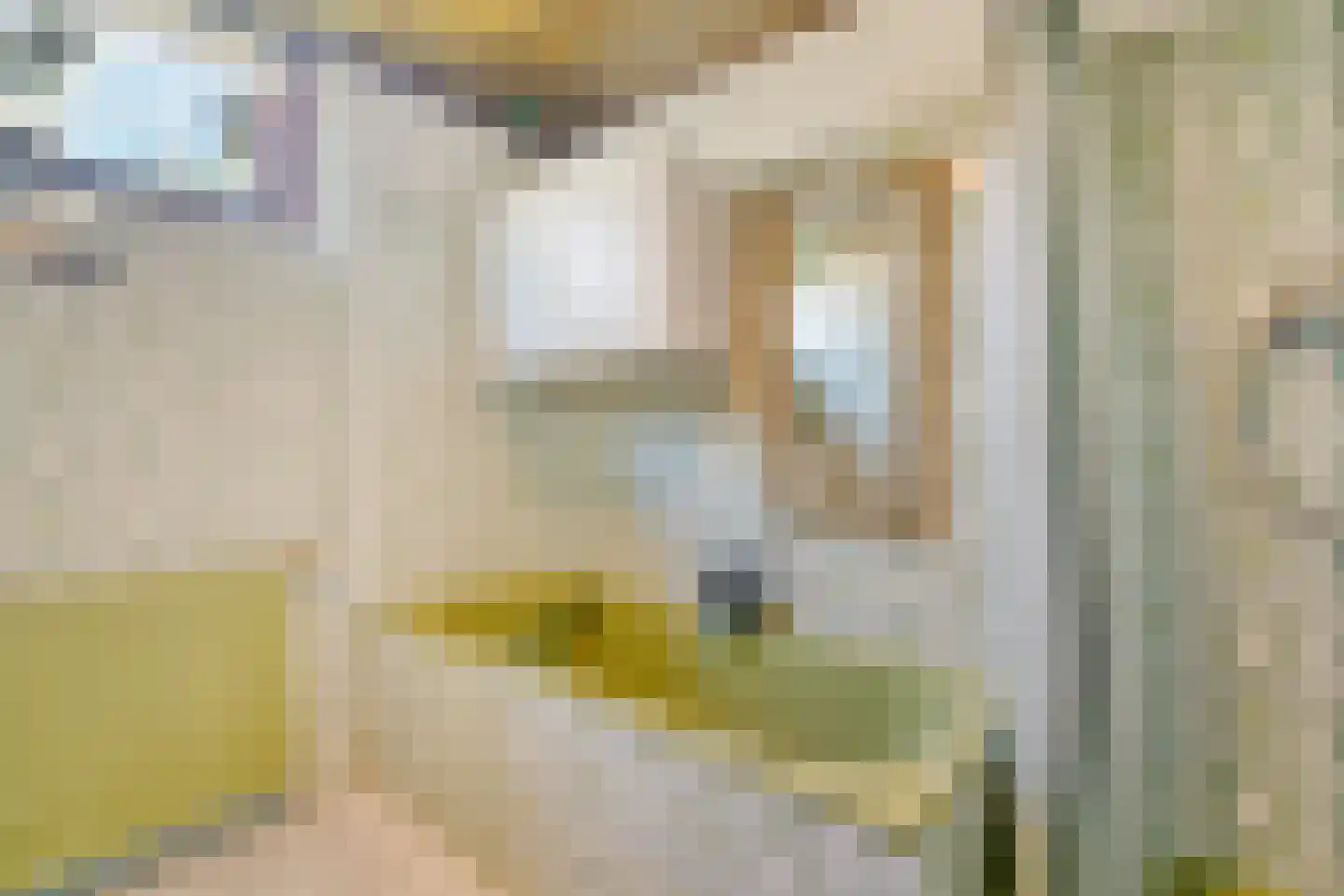 De Haal 90 Oostzaan thumbnail 20