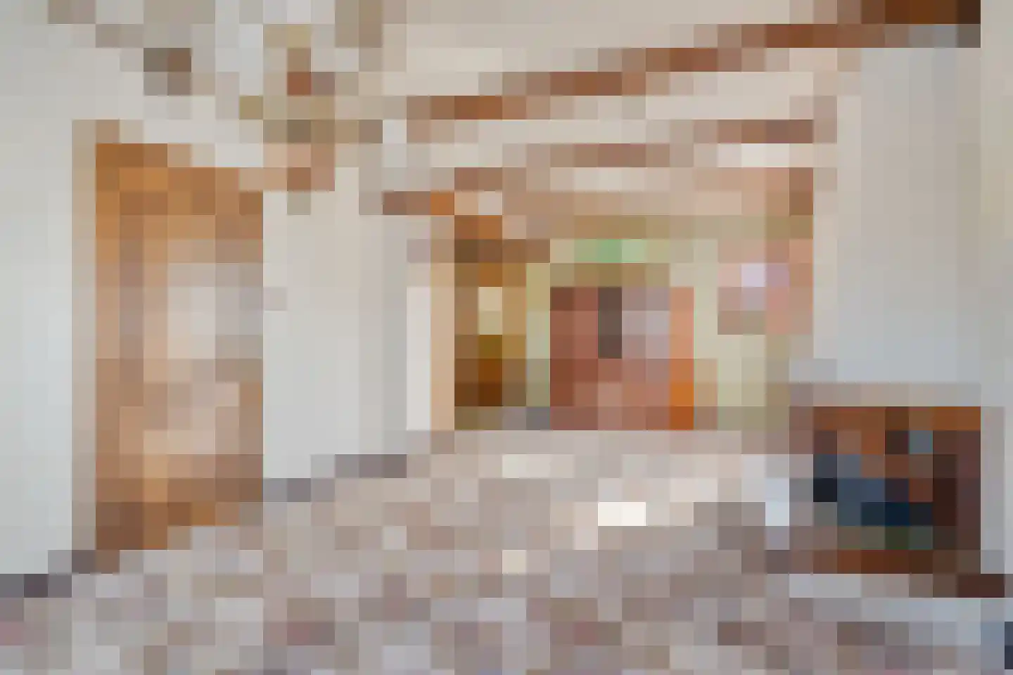 De Haal 90 Oostzaan thumbnail 4