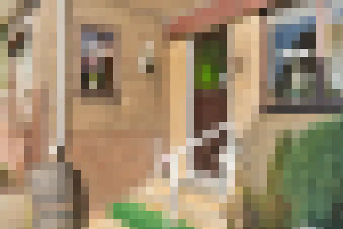 De Haal 90 Oostzaan thumbnail 51