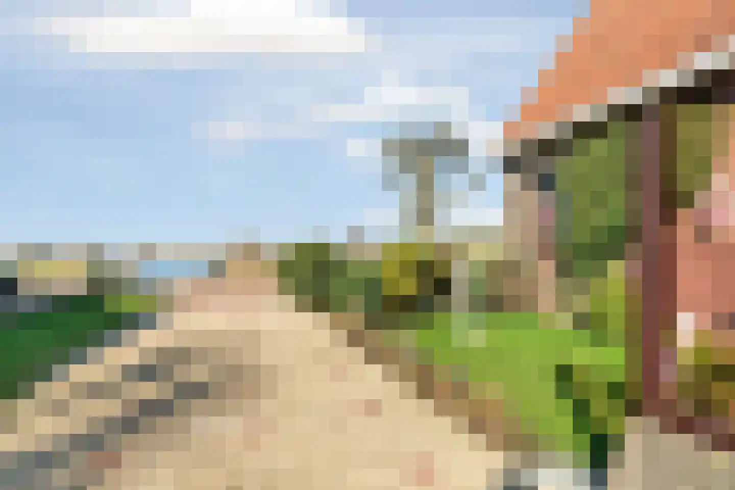 De Haal 90 Oostzaan thumbnail 53
