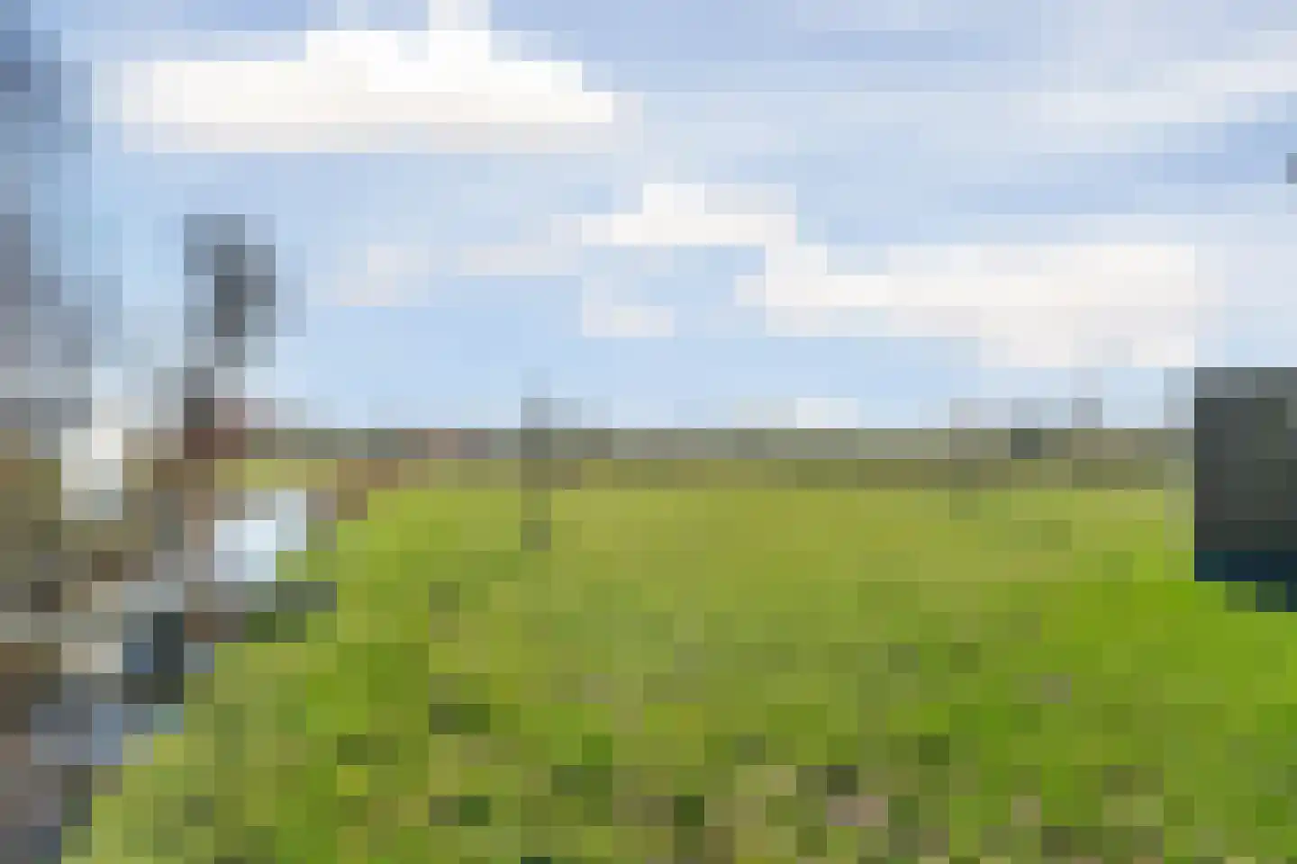 De Haal 90 Oostzaan thumbnail 63