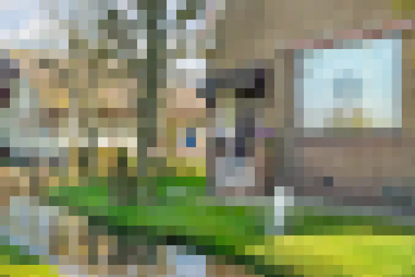 De Haal 90 Oostzaan thumbnail 66