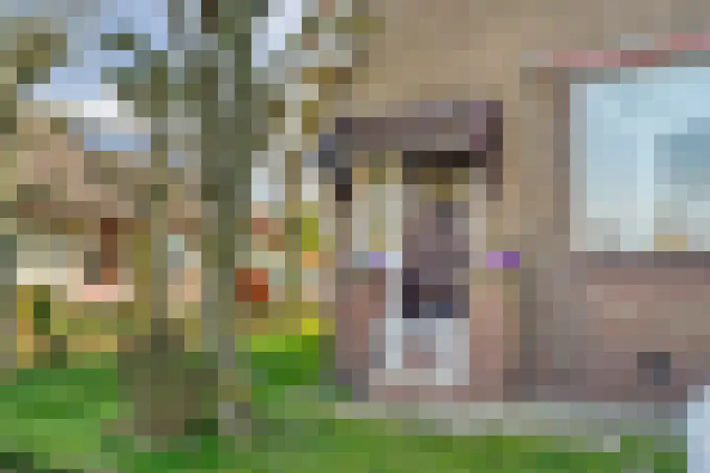 De Haal 90 Oostzaan thumbnail 67