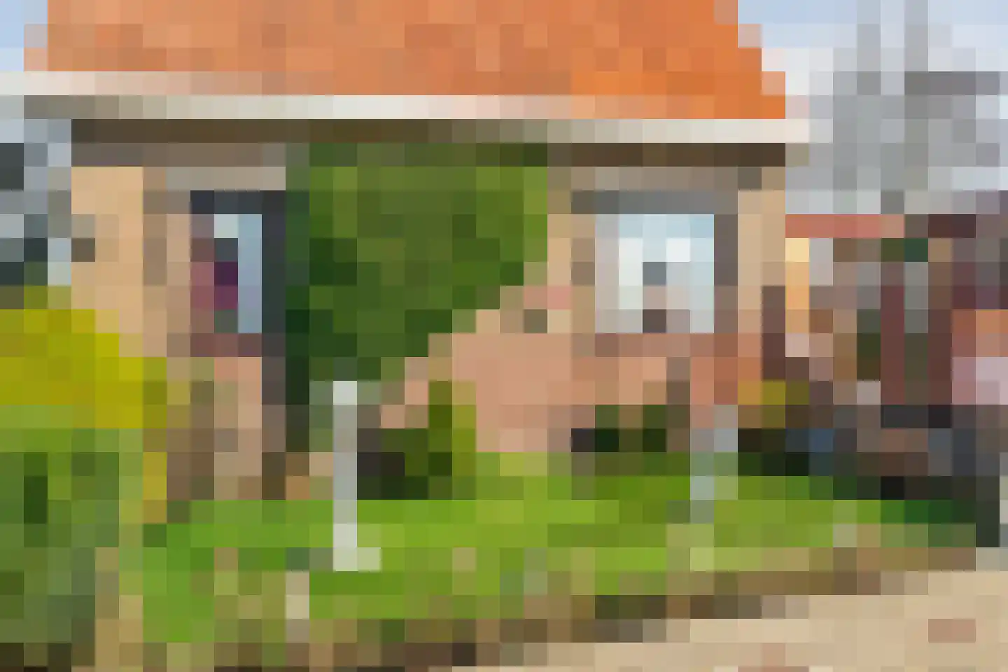 De Haal 90 Oostzaan thumbnail 69