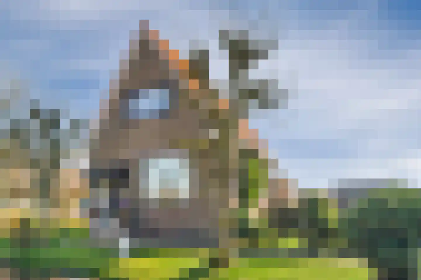 De Haal 90 Oostzaan thumbnail 70