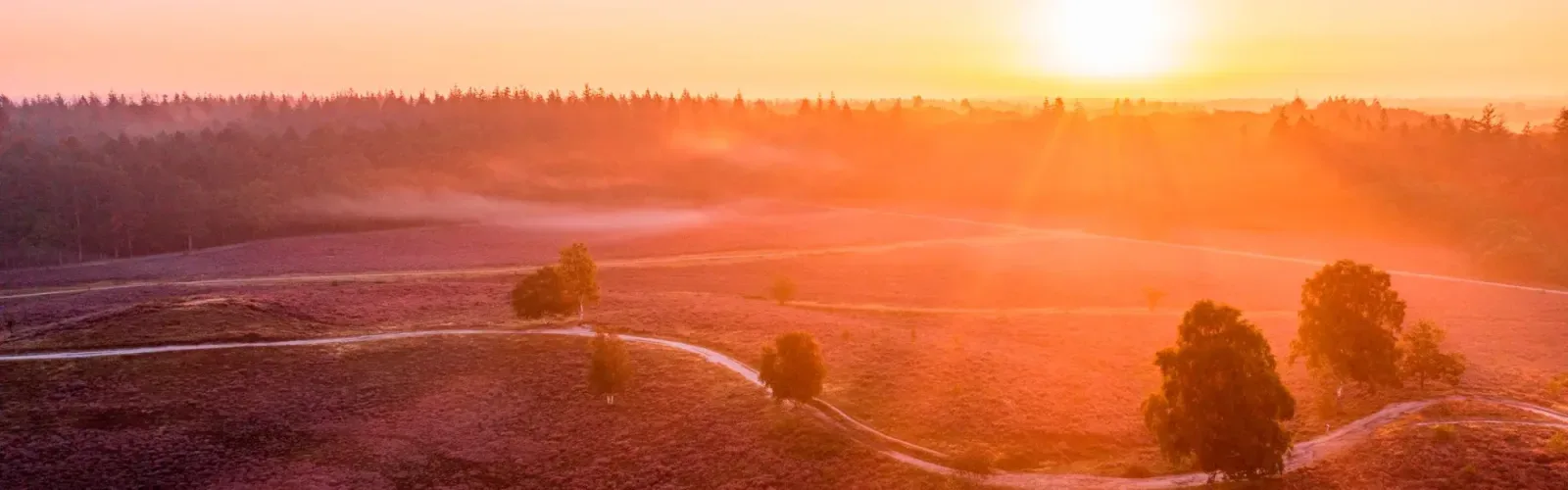 Team foto van De Haan Makelaars