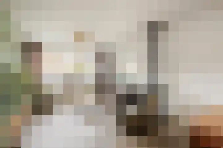 de Haar 1 Raalte thumbnail 10