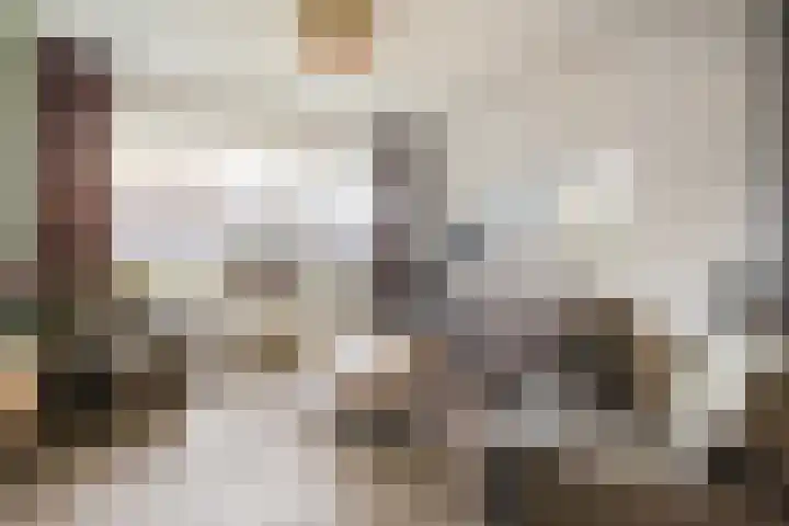 de Haar 1 Raalte thumbnail 11
