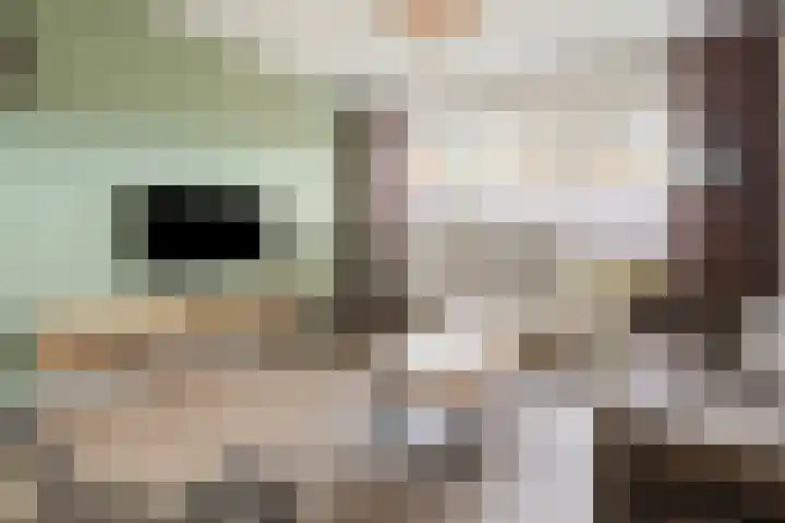 de Haar 1 Raalte thumbnail 13