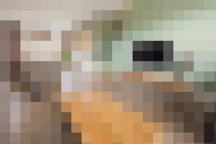 de Haar 1 Raalte thumbnail 14