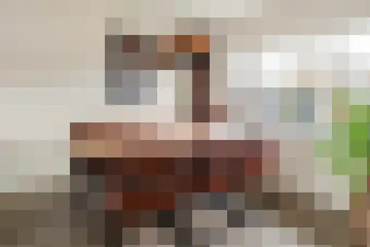 de Haar 1 Raalte thumbnail 15