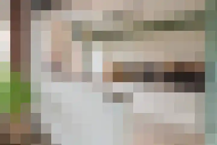de Haar 1 Raalte thumbnail 17