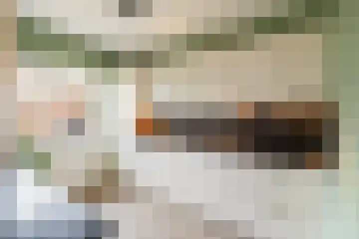 de Haar 1 Raalte thumbnail 18