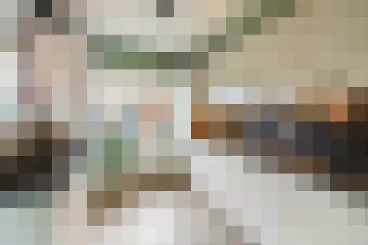 de Haar 1 Raalte thumbnail 19