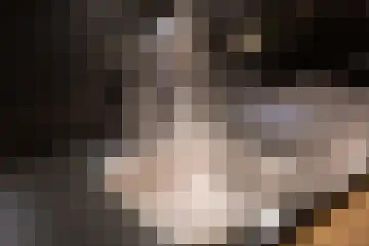 de Haar 1 Raalte thumbnail 20