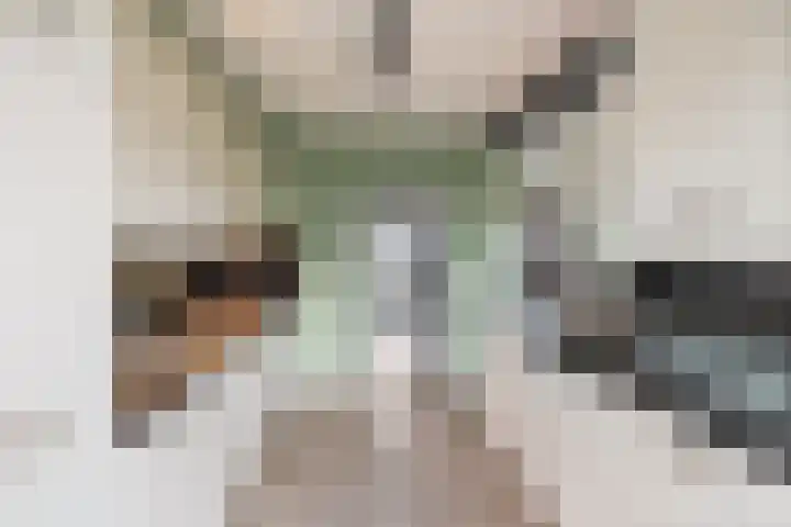 de Haar 1 Raalte thumbnail 21