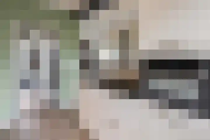 de Haar 1 Raalte thumbnail 22