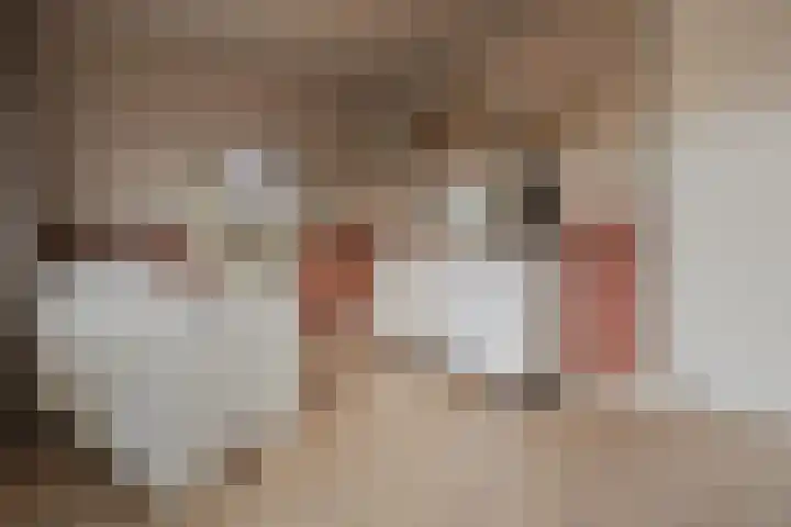 de Haar 1 Raalte thumbnail 26