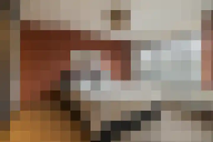 de Haar 1 Raalte thumbnail 28