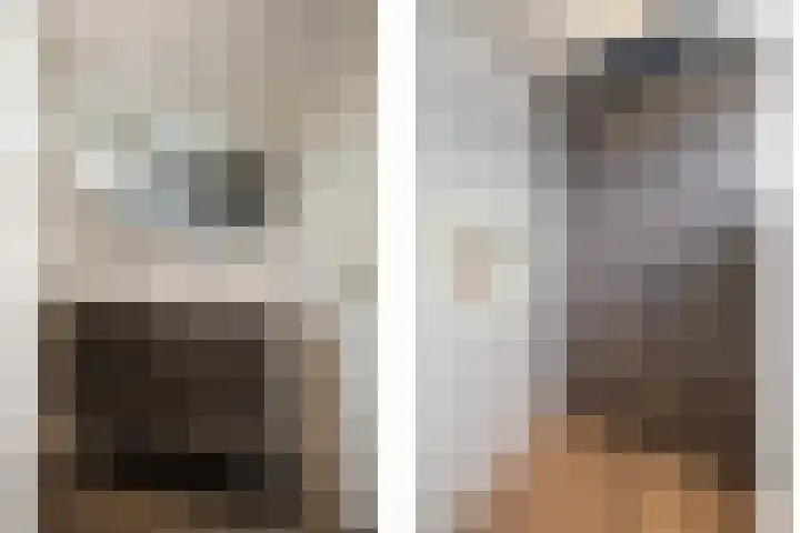 de Haar 1 Raalte thumbnail 30